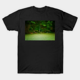 Forest Primeval T-Shirt